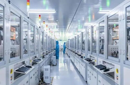 厲害了 惠州制造 閃耀巴黎奧運會